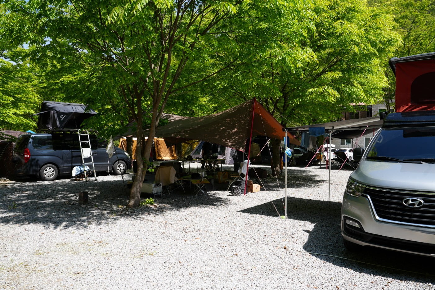 20250505163642_wUvzbeC2rN.jpg
