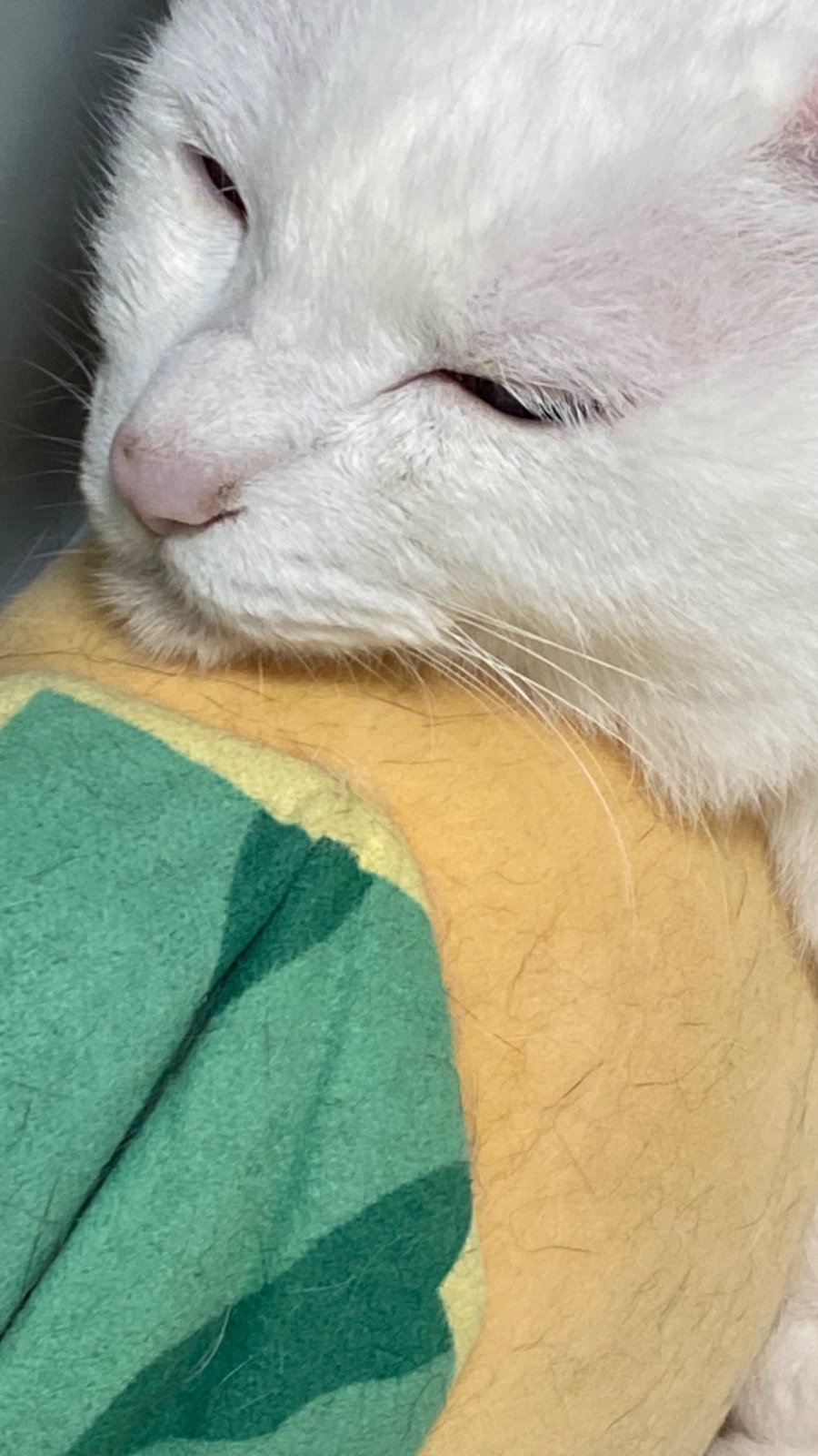 ǰϱ 