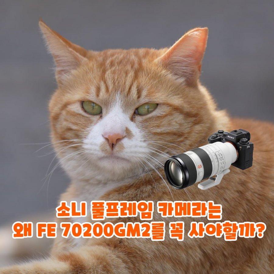 20250509120813_rhejKyK0Nu.jpg
