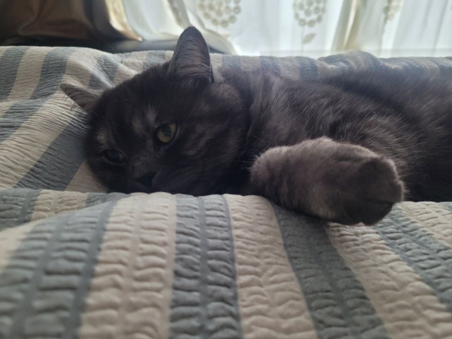 츮 