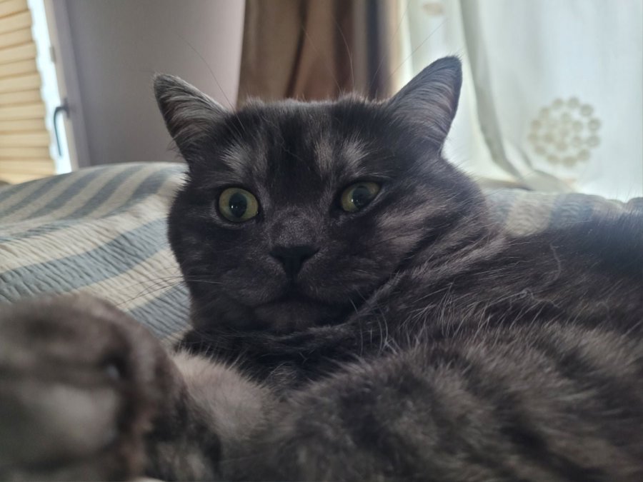츮 
