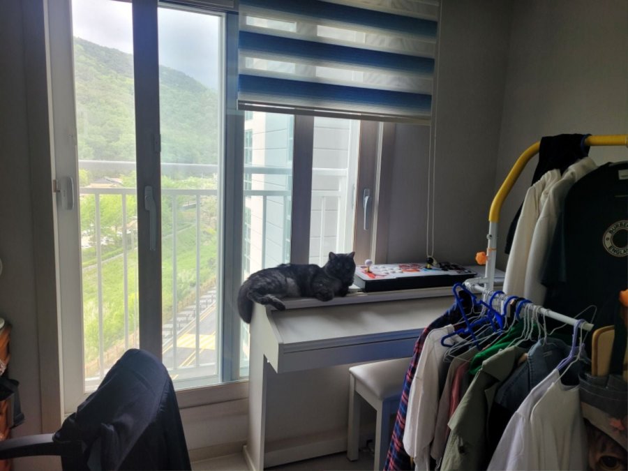 츮 