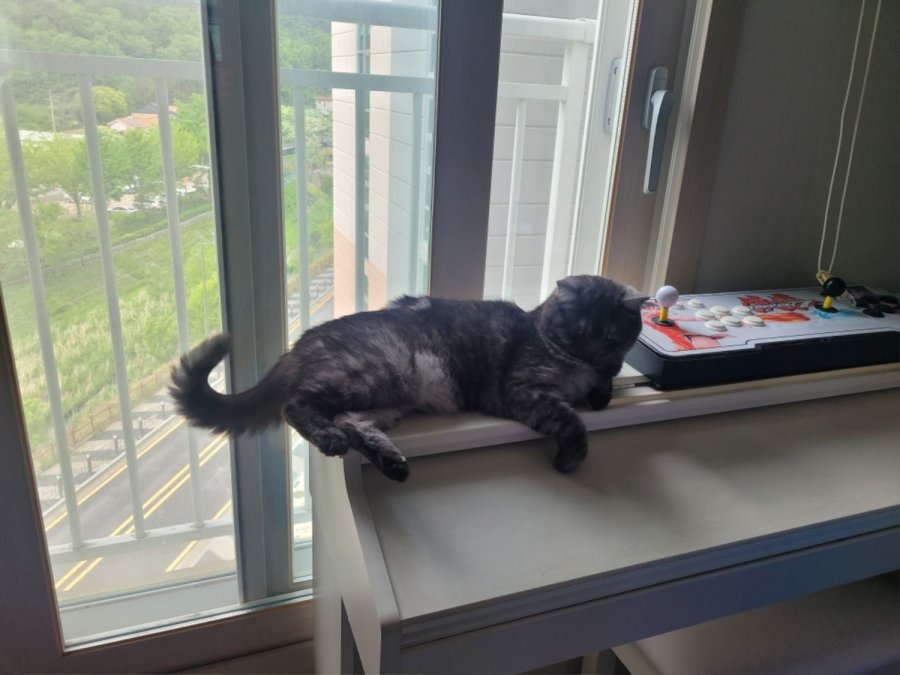 츮 
