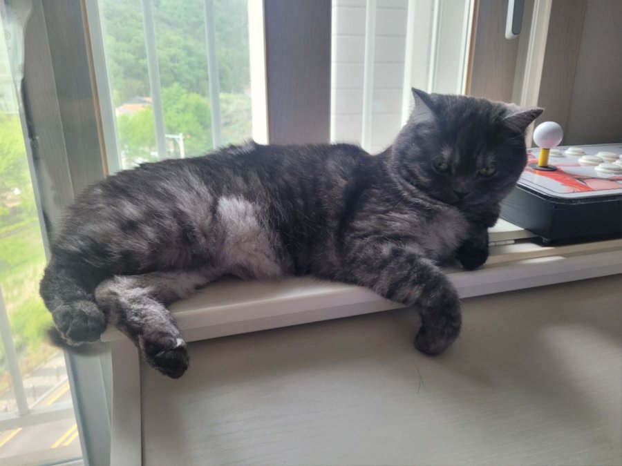 츮 