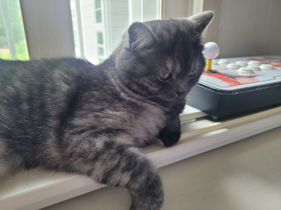 츮 