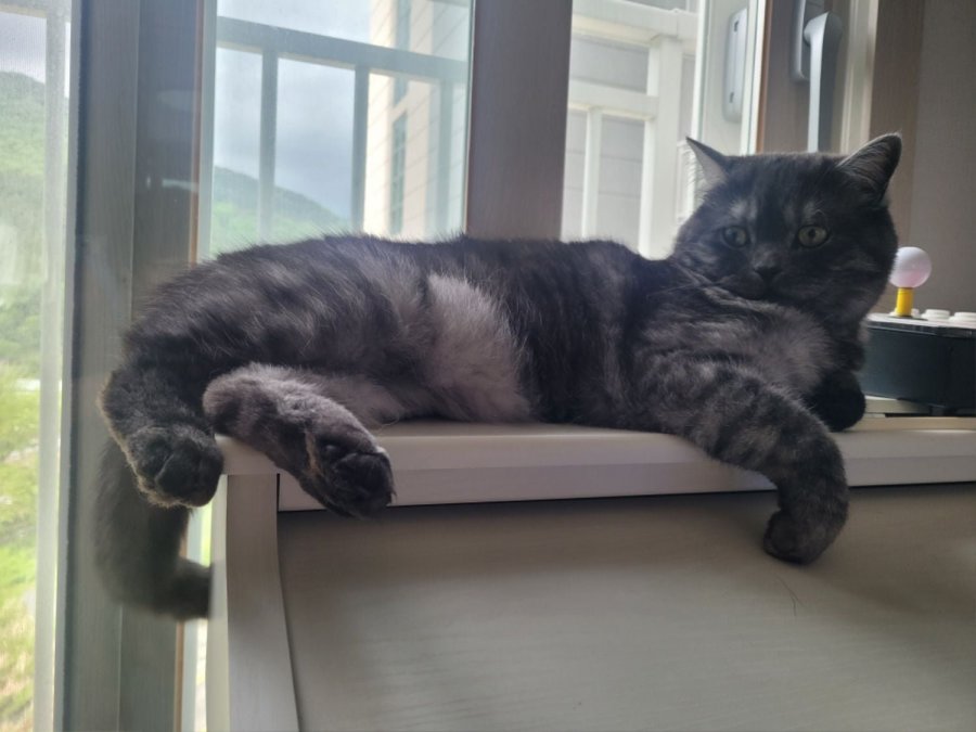 츮 