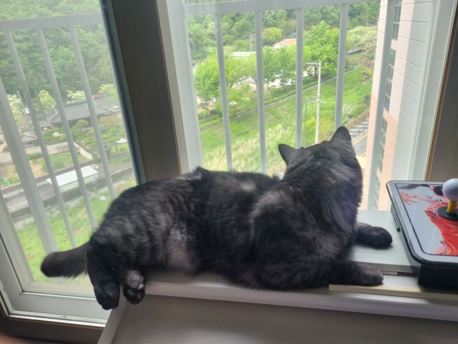 츮 