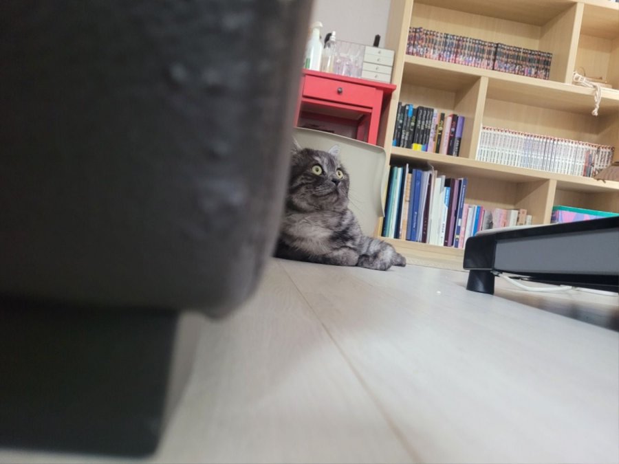 츮 