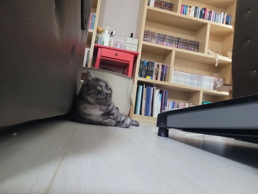 츮 