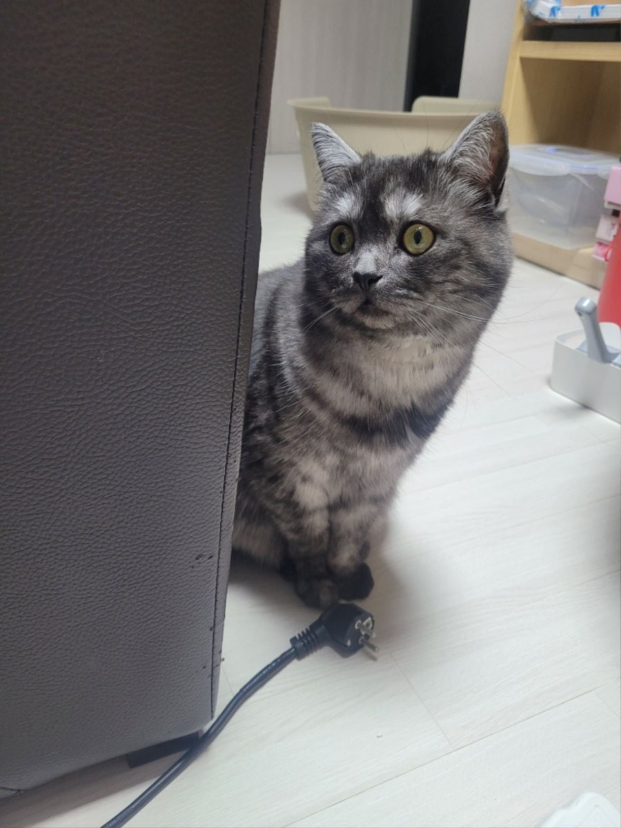 츮 