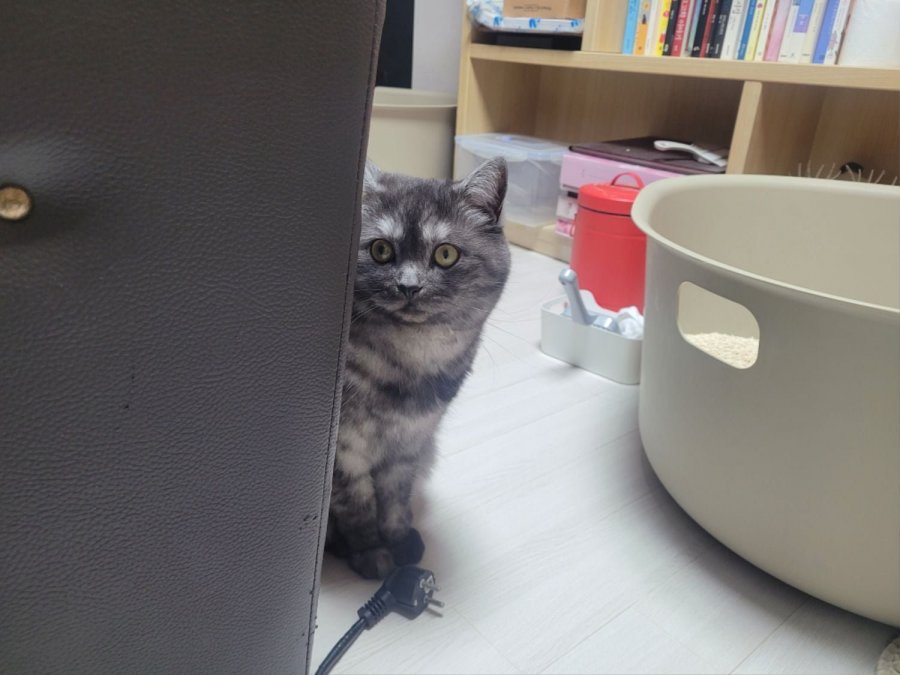 츮 