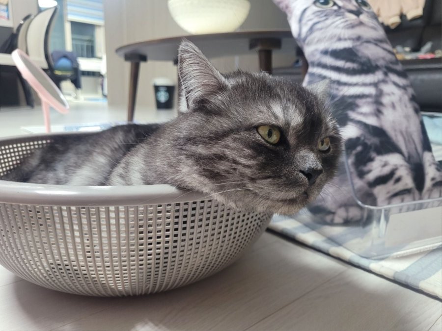 츮 
