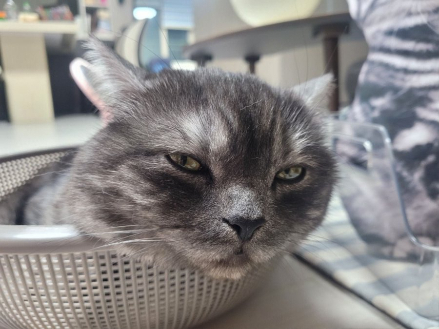 츮 
