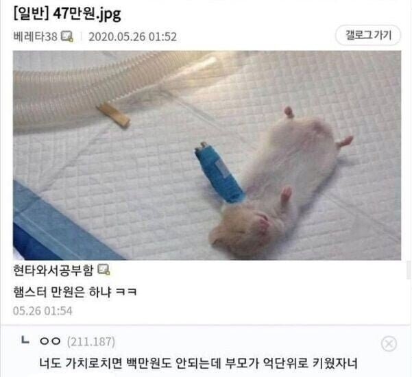 20250522170503_kRaTuD3Ptg.jpeg