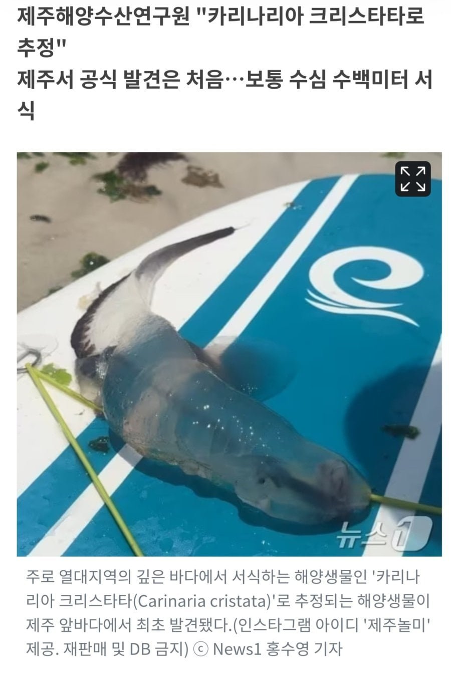 20250529180840_VcW3kFIJ7b.jpg