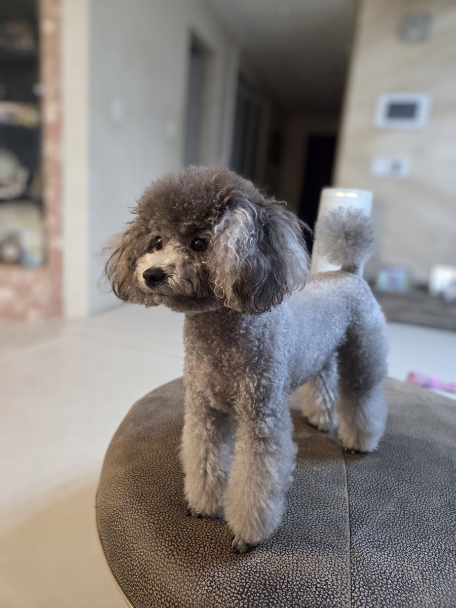 츮 