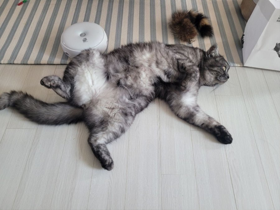 츮 