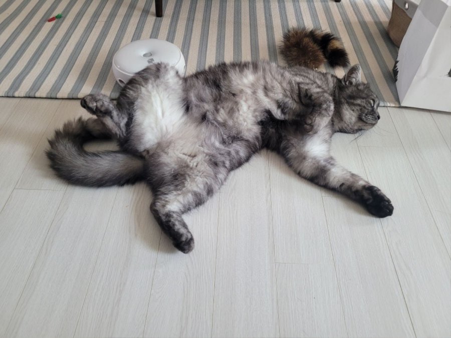 츮 