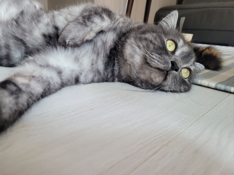 츮 