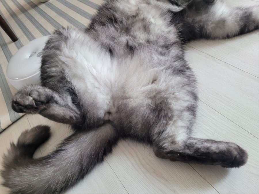 츮 