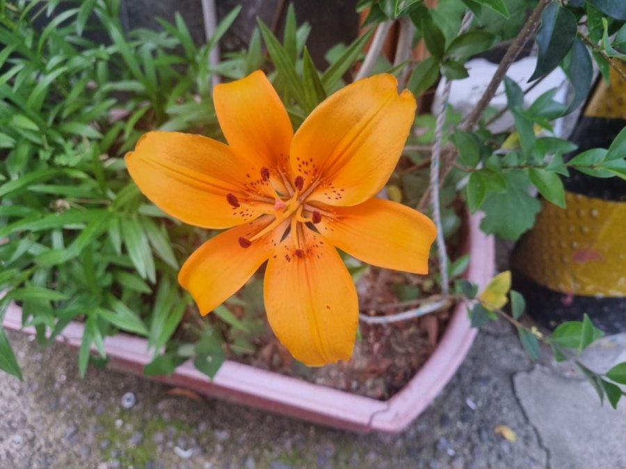  Ǳ濡  Դϴ