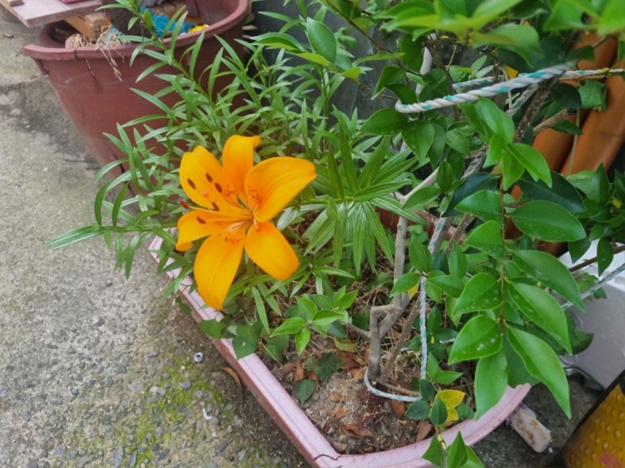  Ǳ濡  Դϴ