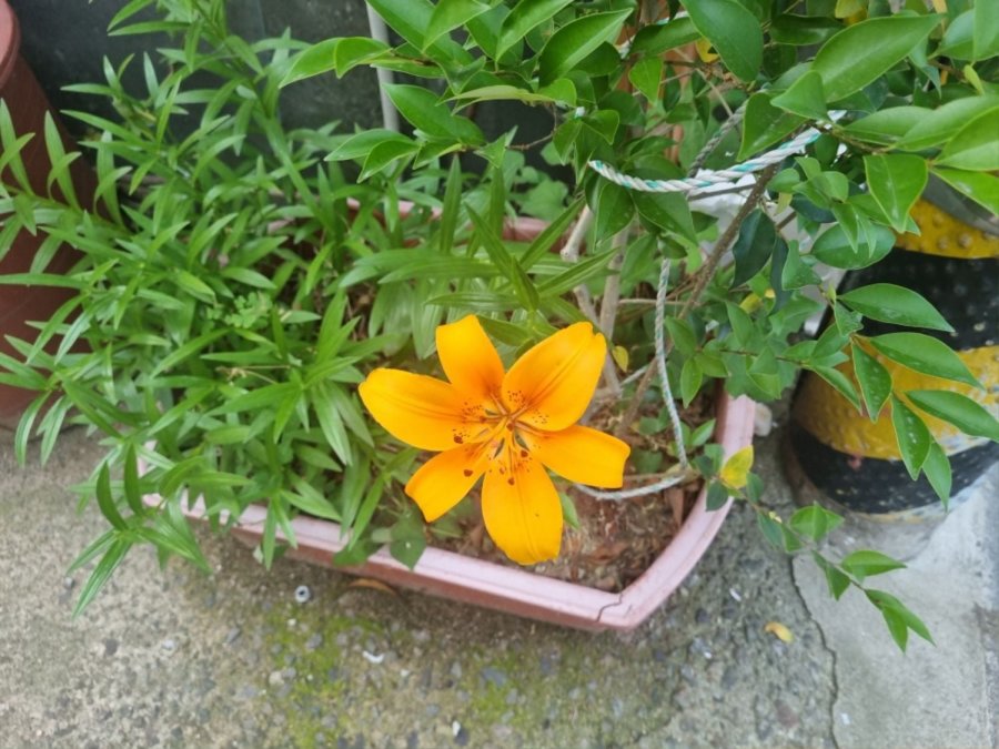  Ǳ濡  Դϴ