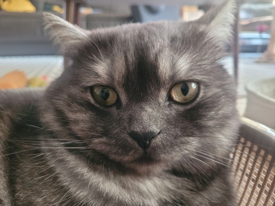 츮 