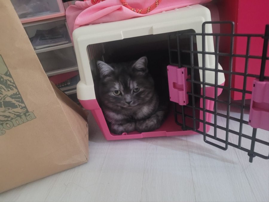츮 