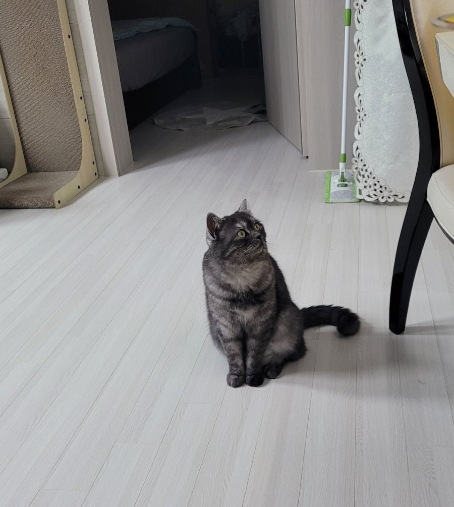 츮 