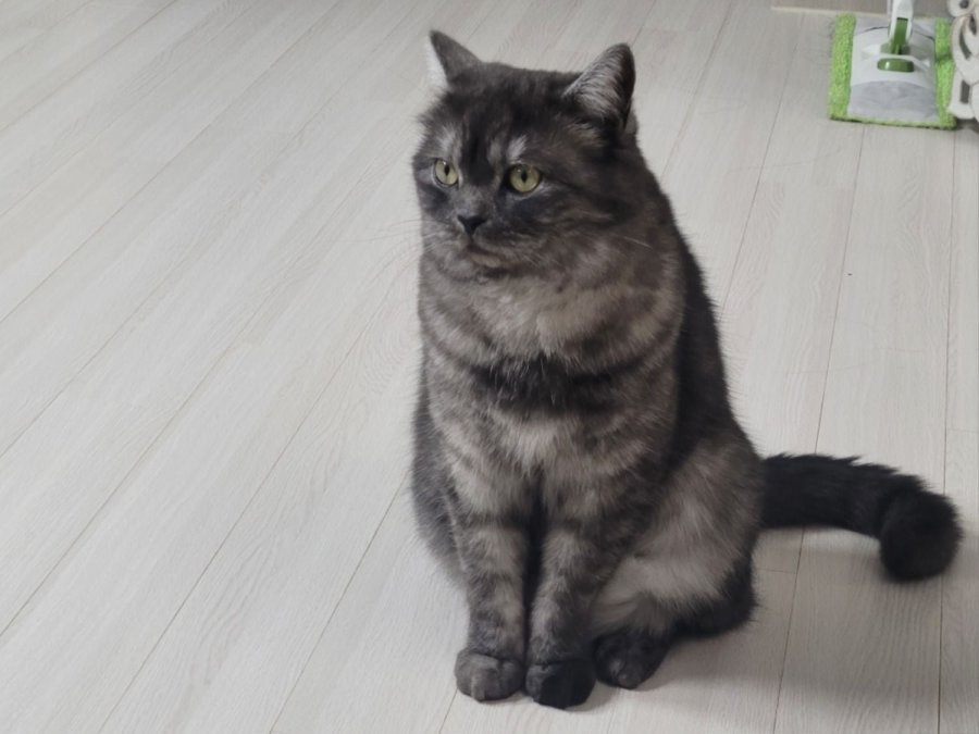 츮 