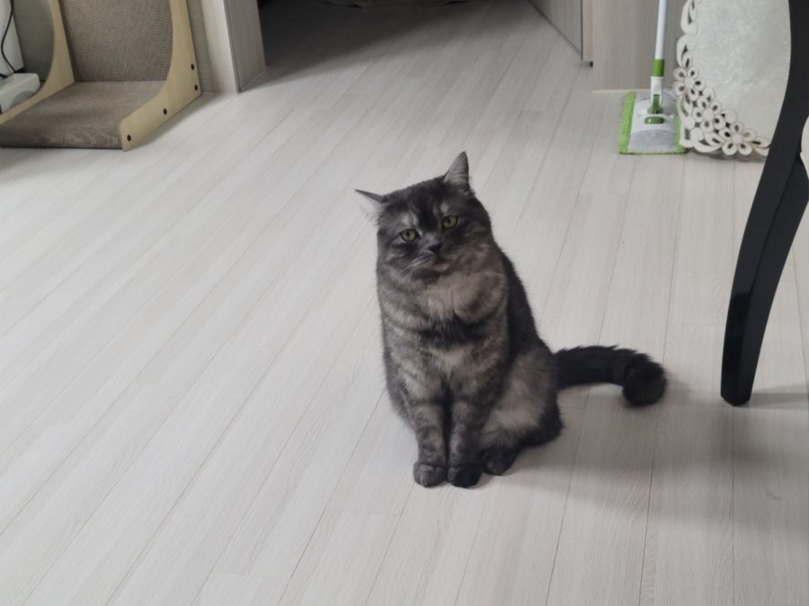 츮 