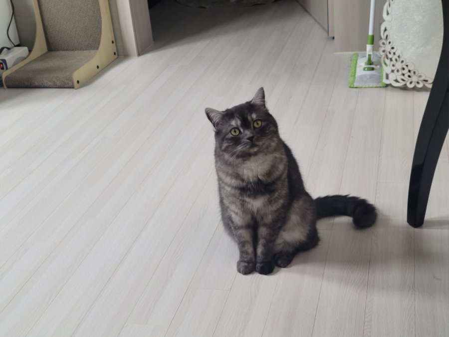 츮 