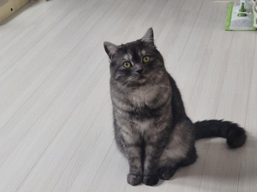 츮 