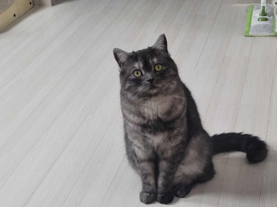 츮 