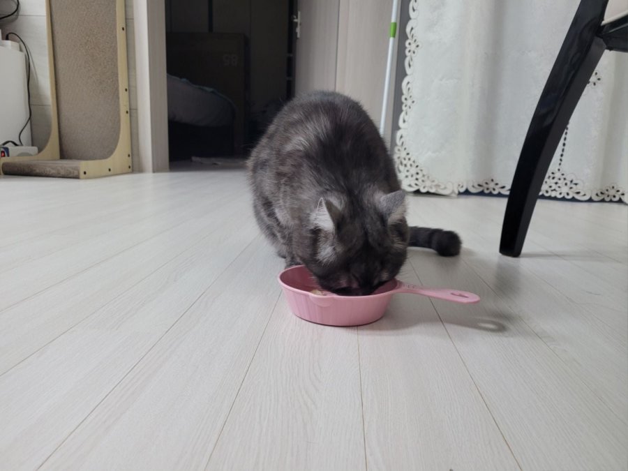 츮 