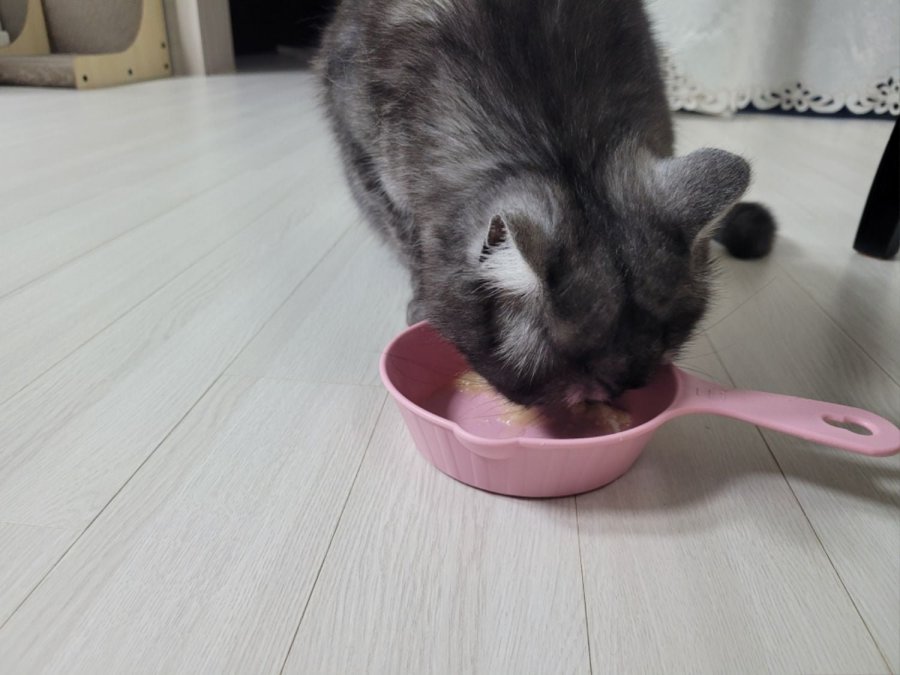 츮 