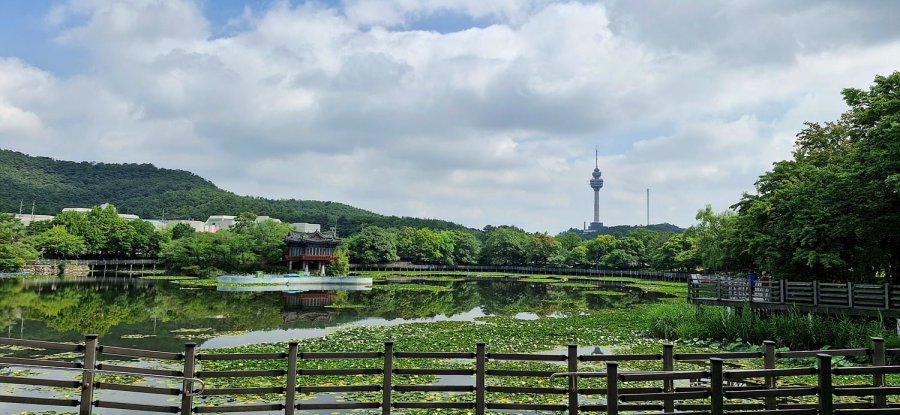 뱸