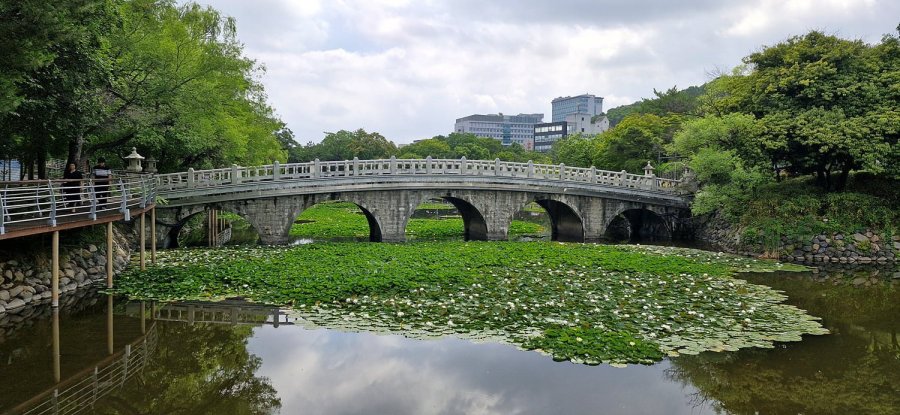 뱸