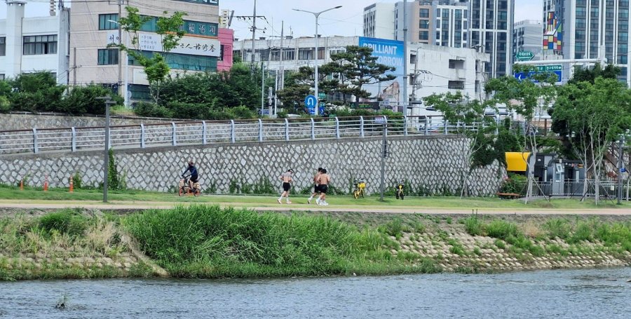 뱸