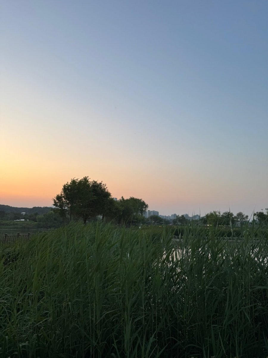 ռȣ