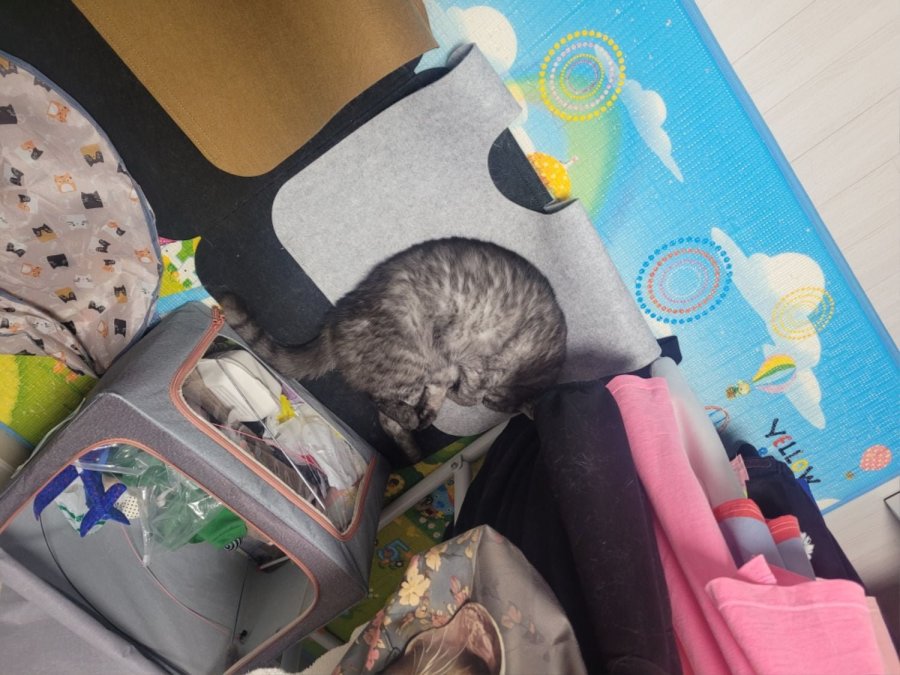 츮 