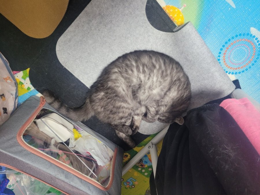 츮 