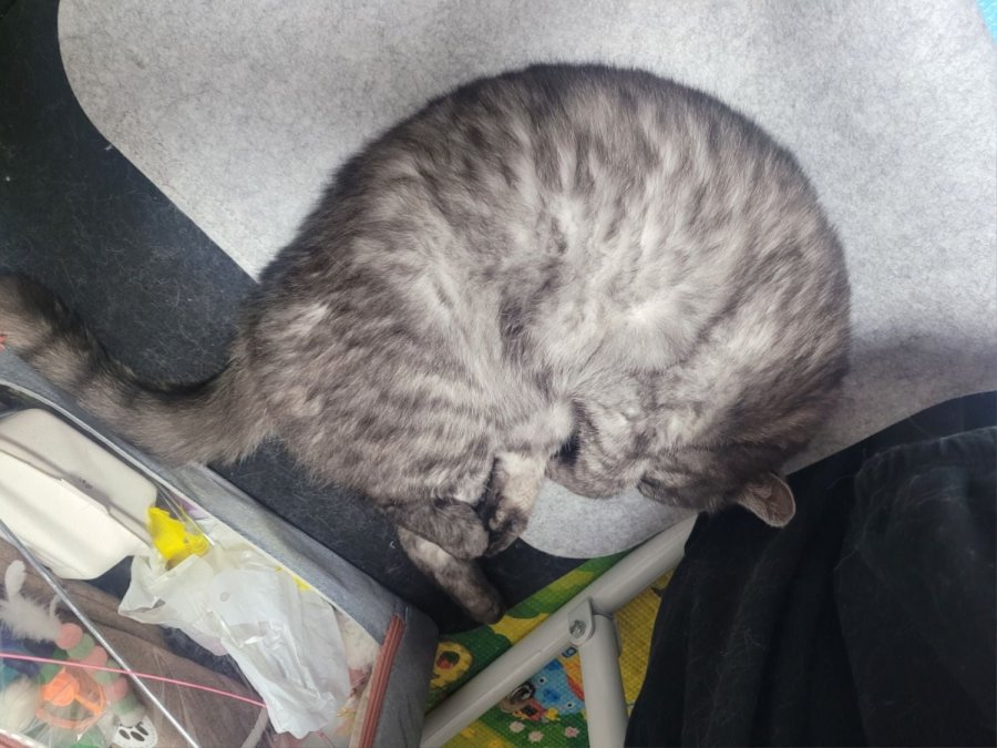 츮 