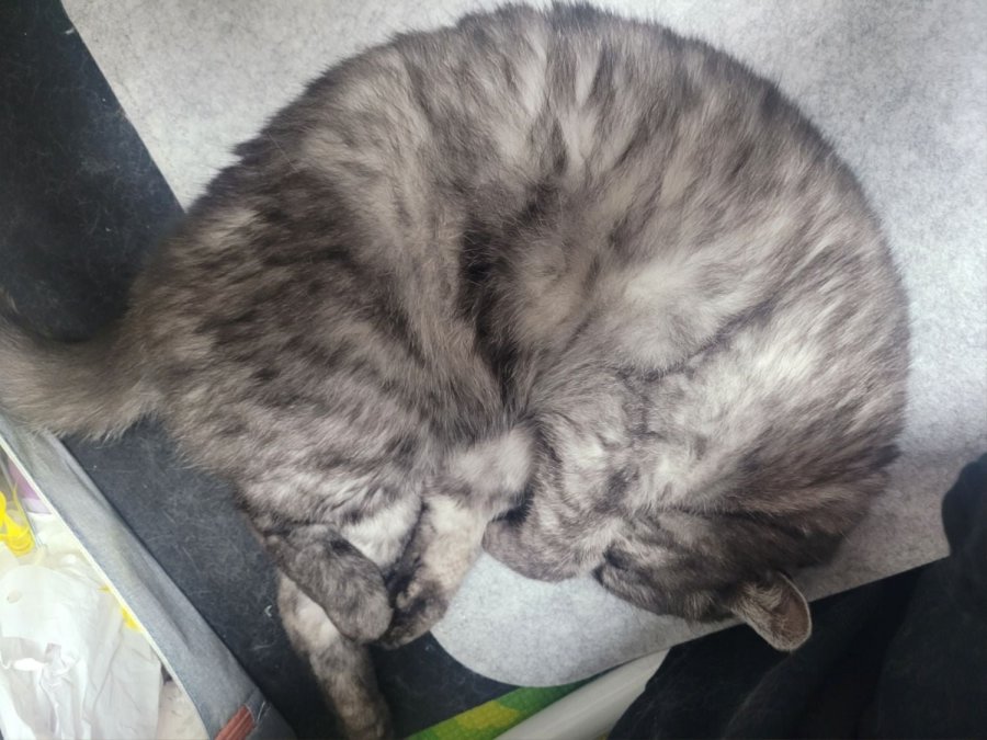 츮 