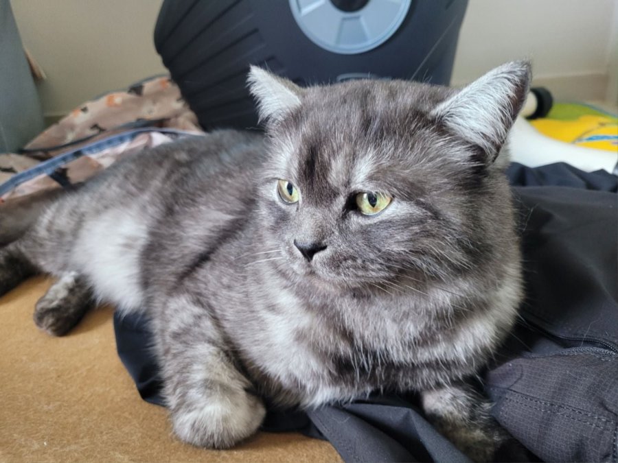 츮 