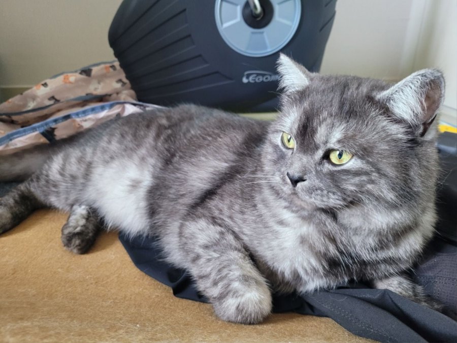 츮 
