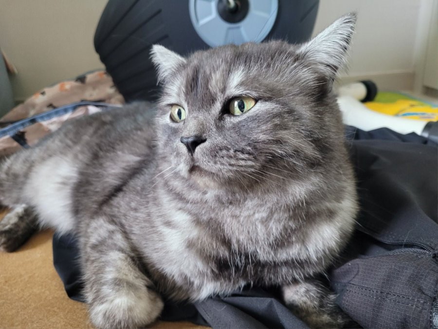 츮 