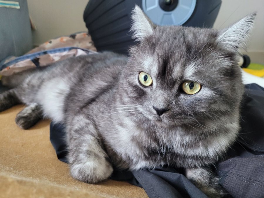 츮 
