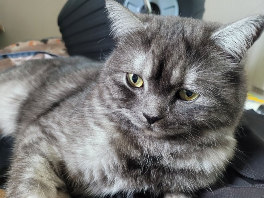 츮 